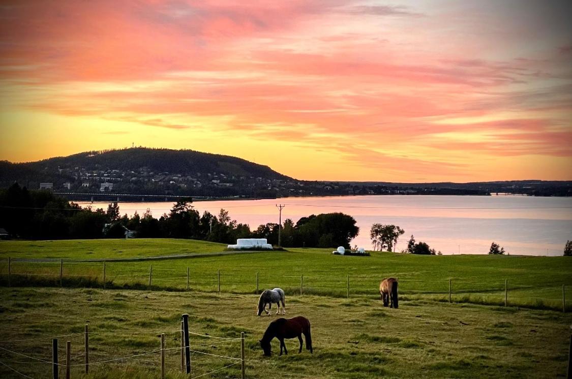 Scenic Small Guesthouse On Horse Farm By The Lake Froso Exterior foto