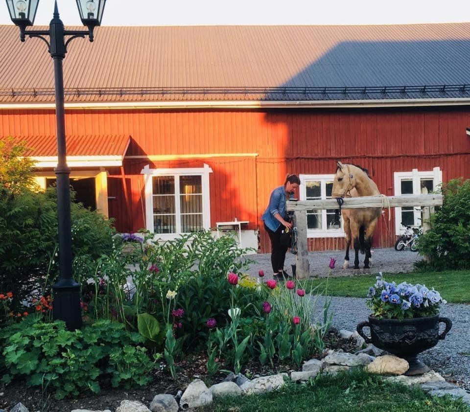 Scenic Small Guesthouse On Horse Farm By The Lake Froso Exterior foto
