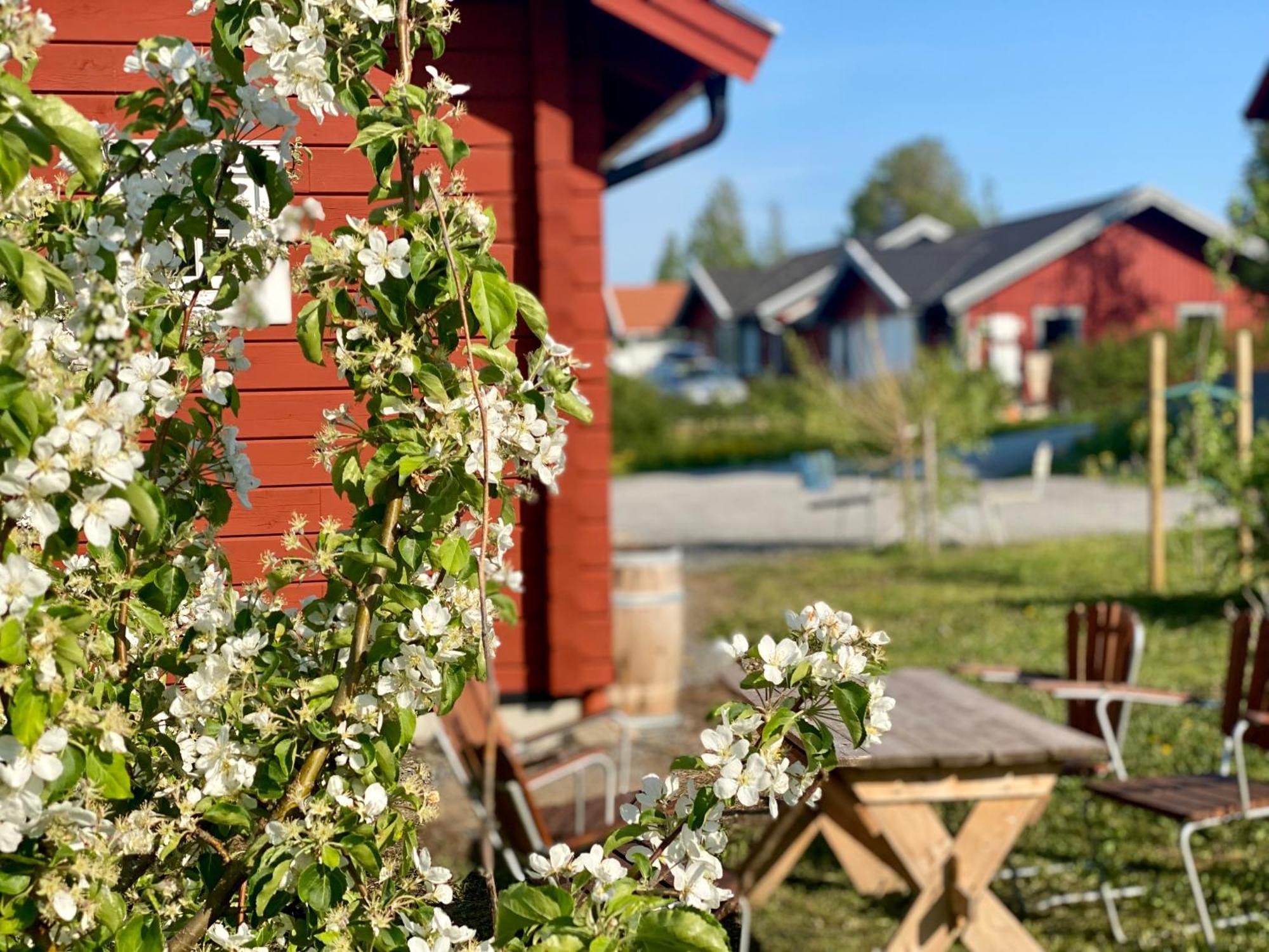 Scenic Small Guesthouse On Horse Farm By The Lake Froso Exterior foto